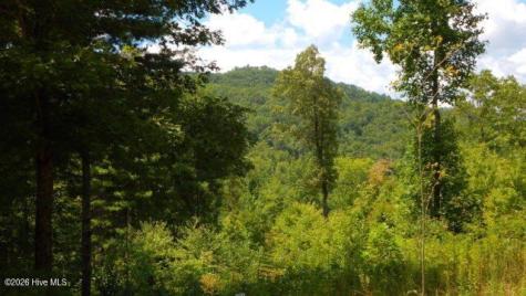 Lot 16 Tyler Ridge Murphy NC 28906