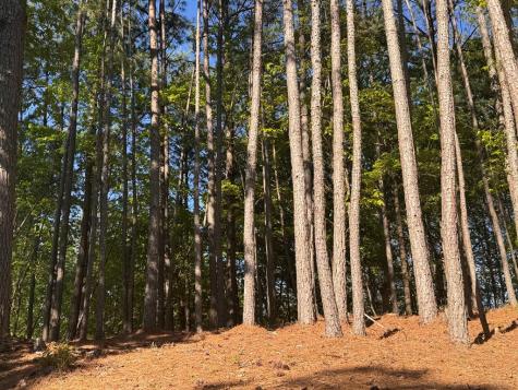 Lot 4 Grassy Creek Road Copperhill TN 37317
