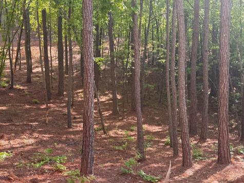 Lot 4 Grassy Creek Road Copperhill TN 37317