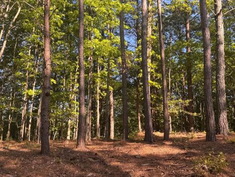 Lot 4 Grassy Creek Road Copperhill TN 37317