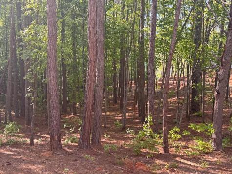 Lot 4 Grassy Creek Road Copperhill TN 37317