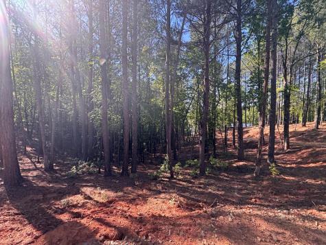 Lot 4 Grassy Creek Road Copperhill TN 37317