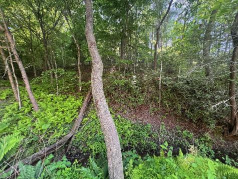 Lot 4 Grassy Creek Road Copperhill TN 37317