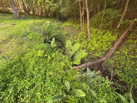 Lot 4 Grassy Creek Road Copperhill TN 37317