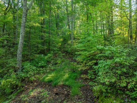 Lot 13 Wilderness Way Ellijay GA 30536