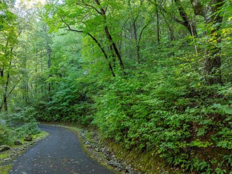 Lot 13 Wilderness Way Ellijay GA 30536