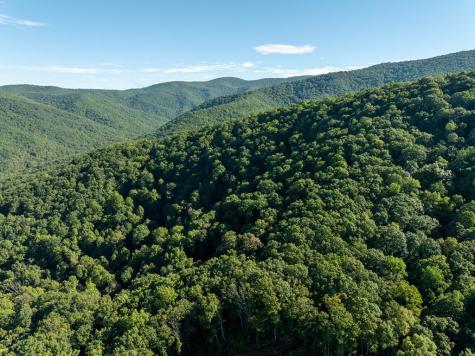 Lot 13 Wilderness Way Ellijay GA 30536