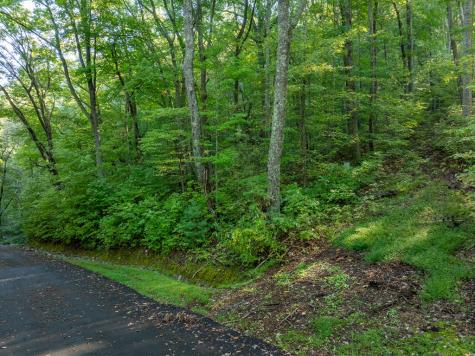 Lot 13 Wilderness Way Ellijay GA 30536