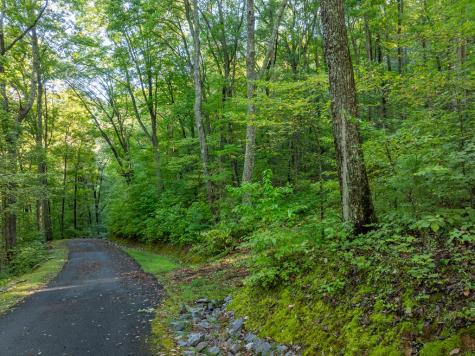 Lot 13 Wilderness Way Ellijay GA 30536