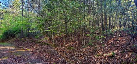 H-5 River Sound Village Hayesville NC 28904