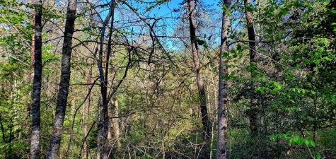 H-5 River Sound Village Hayesville NC 28904