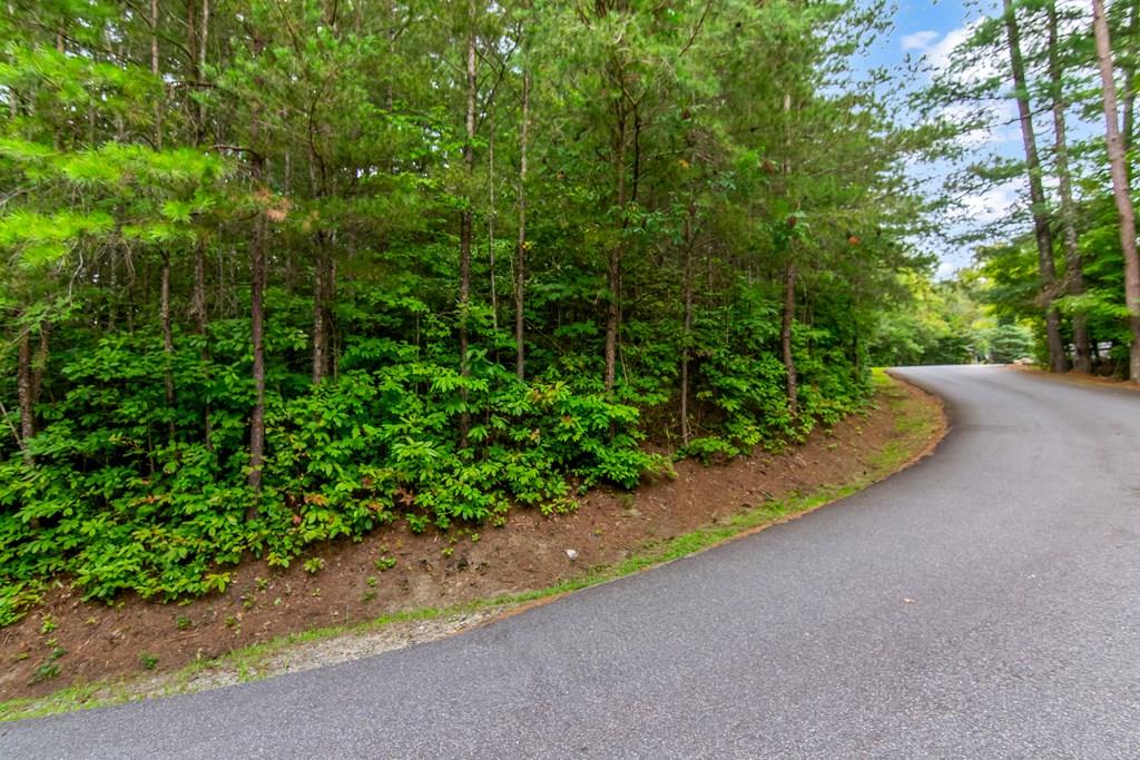 Lot 9 Laurel Creek Trail Blue Ridge GA 30513