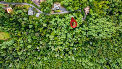 Lot 9 Laurel Creek Trail Blue Ridge GA 30513