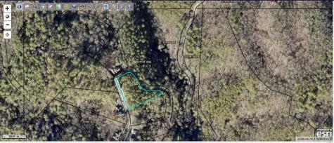 Lot 9 Laurel Creek Trail Blue Ridge GA 30513