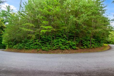 Lot 9 Laurel Creek Trail Blue Ridge GA 30513