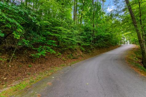 Lot 9 Laurel Creek Trail Blue Ridge GA 30513