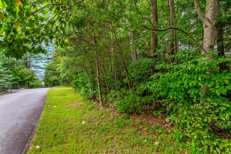 Lot 9 Laurel Creek Trail Blue Ridge GA 30513