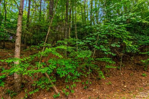 Lot 9 Laurel Creek Trail Blue Ridge GA 30513