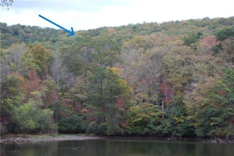 Lot 19 Owl Mountain Road Ellijay GA 30540