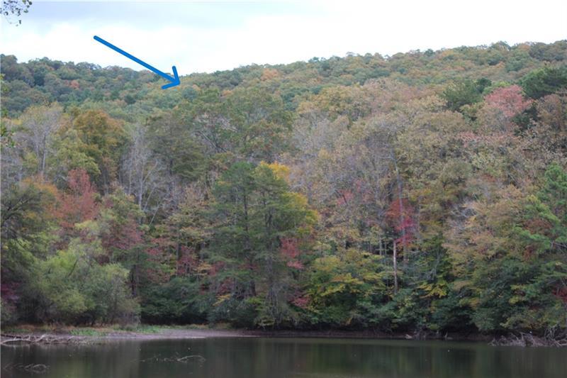 Lot 19 Owl Mountain Road Ellijay GA 30540