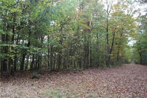 Lot 19 Owl Mountain Road Ellijay GA 30540