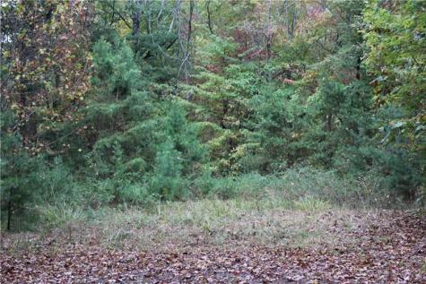 Lot 19 Owl Mountain Road Ellijay GA 30540