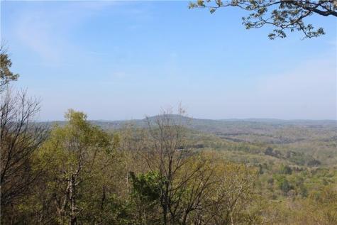 Lot 19 Owl Mountain Road Ellijay GA 30540