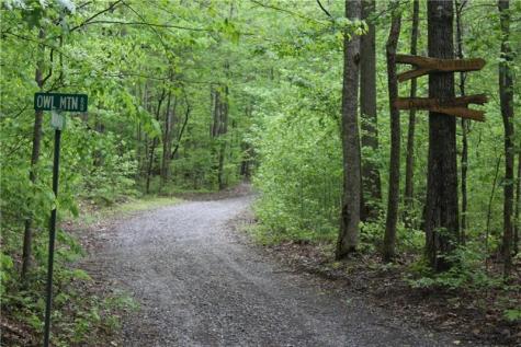 Lot 19 Owl Mountain Road Ellijay GA 30540