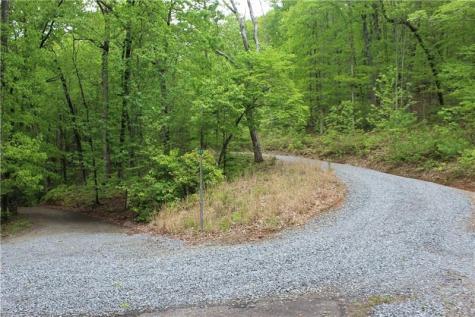 Lot 19 Owl Mountain Road Ellijay GA 30540