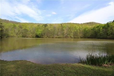 Lot 19 Owl Mountain Road Ellijay GA 30540