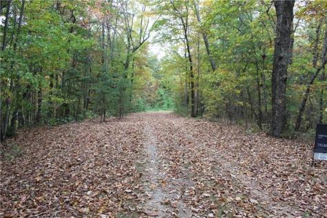 Lot 19 Owl Mountain Road Ellijay GA 30540