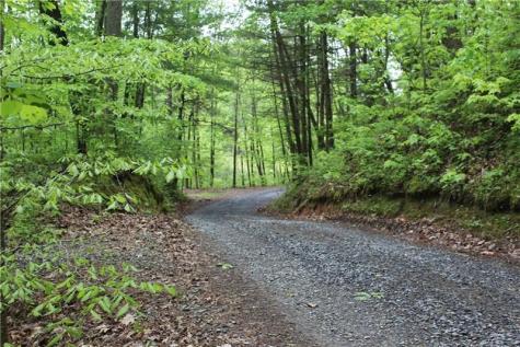 Lot 19 Owl Mountain Road Ellijay GA 30540
