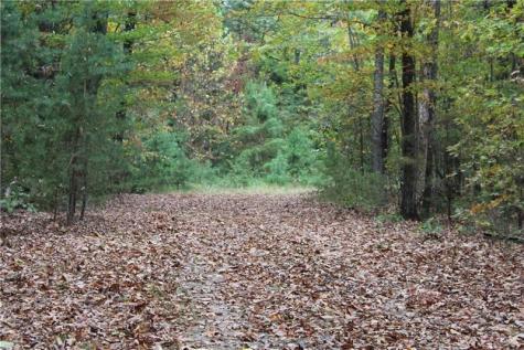 Lot 19 Owl Mountain Road Ellijay GA 30540