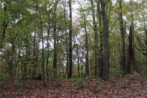 Lot 19 Owl Mountain Road Ellijay GA 30540