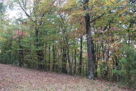 Lot 19 Owl Mountain Road Ellijay GA 30540