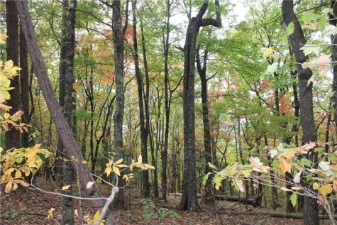 Lot 19 Owl Mountain Road Ellijay GA 30540