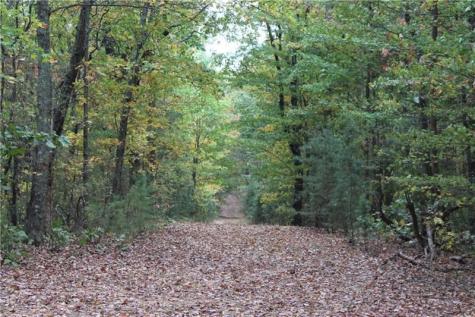 Lot 19 Owl Mountain Road Ellijay GA 30540