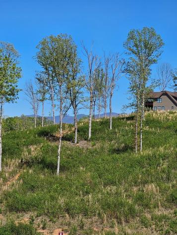 0 Cascade Lane Ellijay GA 30540