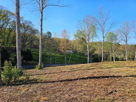 0 Cascade Lane Ellijay GA 30540