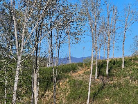 0 Cascade Lane Ellijay GA 30540