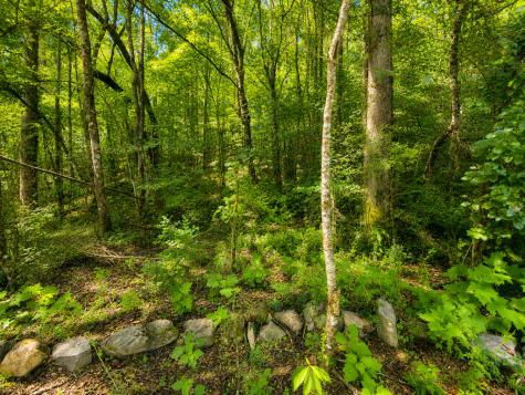 Lt 8 & 9 Hidden Valley Trail Ellijay GA 30540