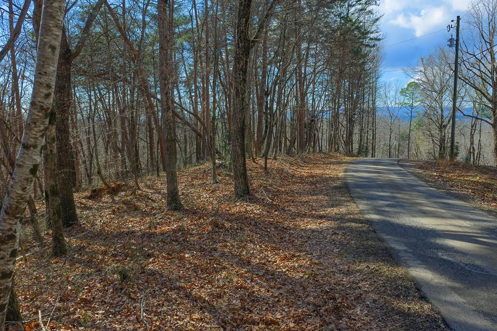 Lot 59 Timberwalk Drive Ellijay GA 30540