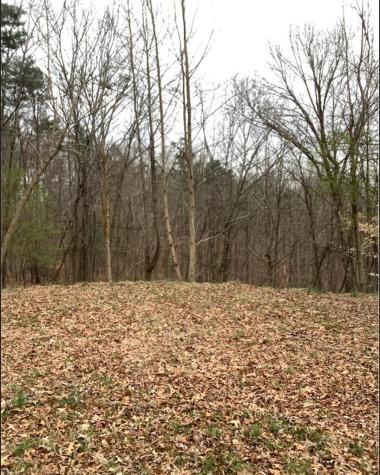 Lot 59 Timberwalk Drive Ellijay GA 30540