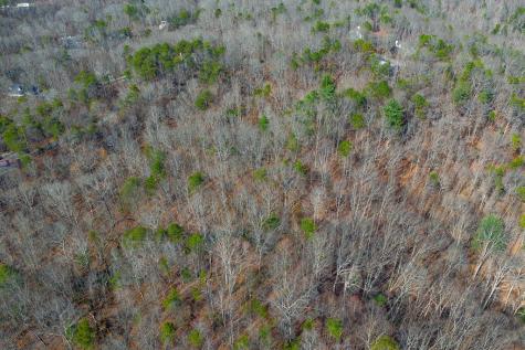 Lot 59 Timberwalk Drive Ellijay GA 30540