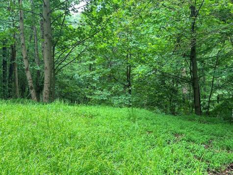 Lot 59 Timberwalk Drive Ellijay GA 30540