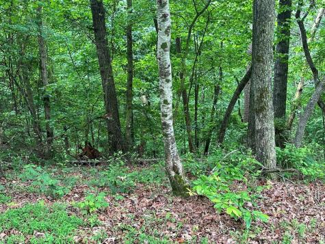 Lot 59 Timberwalk Drive Ellijay GA 30540