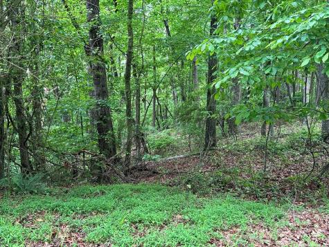 Lot 59 Timberwalk Drive Ellijay GA 30540
