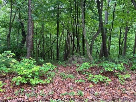Lot 59 Timberwalk Drive Ellijay GA 30540