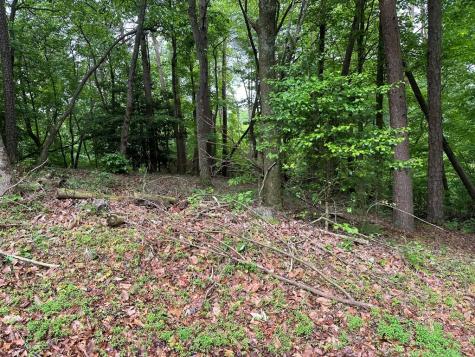 Lot 59 Timberwalk Drive Ellijay GA 30540
