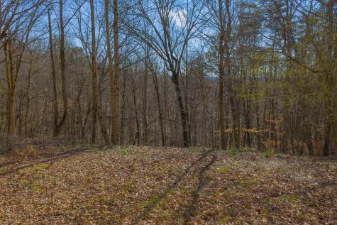 Lot 59 Timberwalk Drive Ellijay GA 30540
